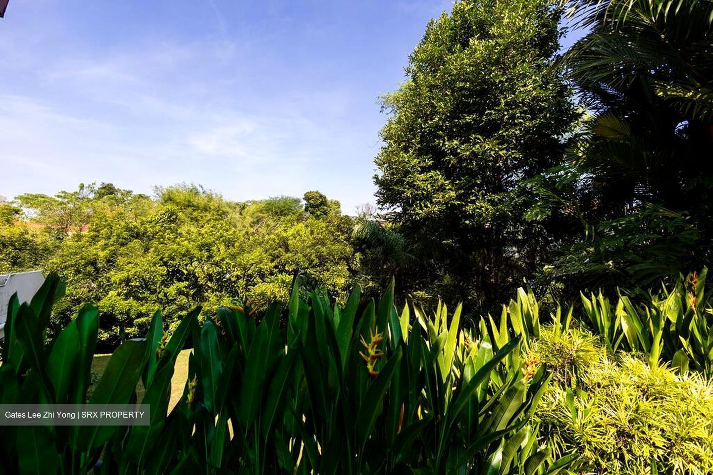 White House Park (D10), Detached #521262601